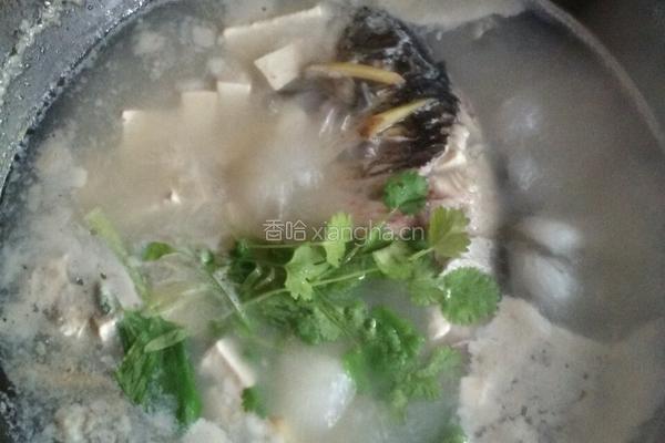 宝宝的鲫鱼烫的做法图解5