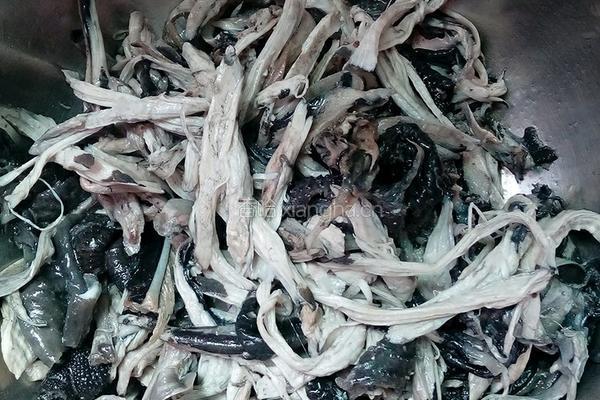 凉拌乌鸡的做法图解4