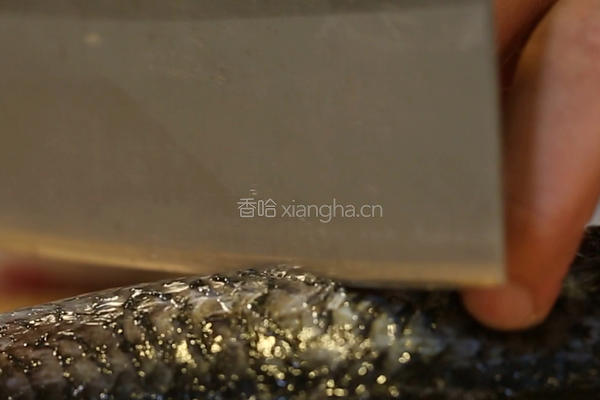 焖酥鱼的做法图解1