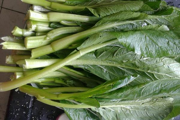 菜心炒肉的做法图解1