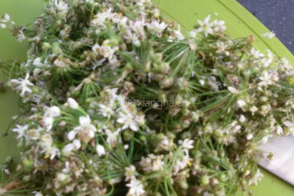 韭菜花酱的做法图解2
