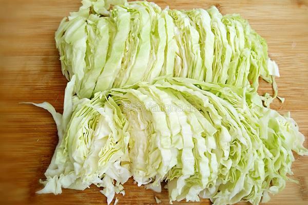 肉末粉丝圆白菜的做法图解4