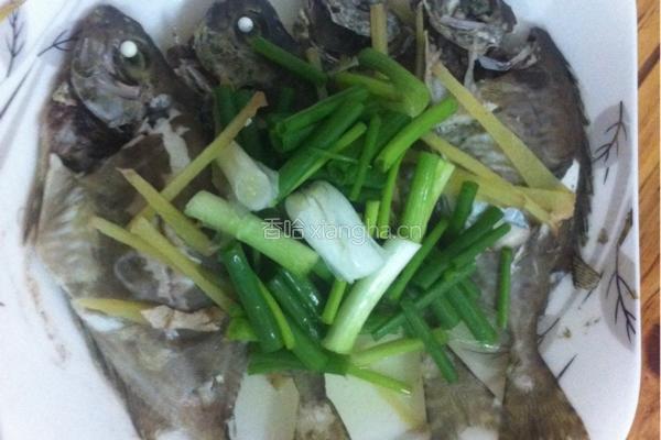 清蒸泥猛鱼的做法图解7