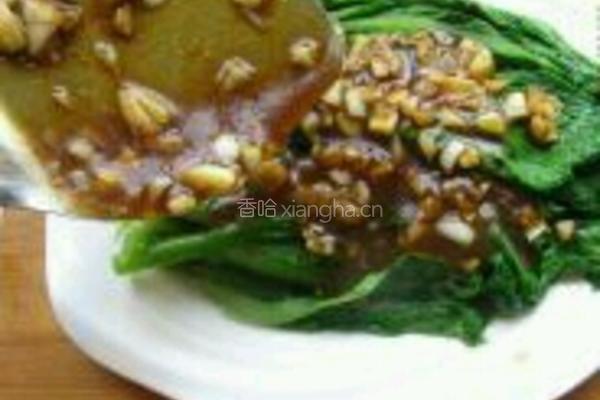 蚝油生菜的做法图解10