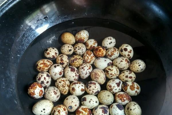 卤蛋的做法图解2