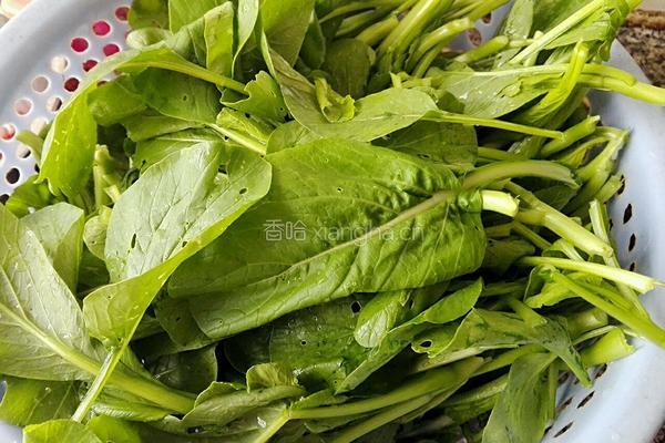 肉末青菜汤的做法图解1