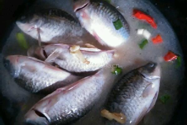 酱烧鲫鱼的做法图解5