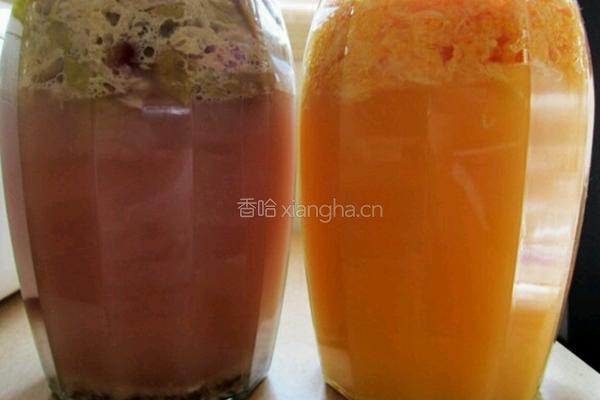 橘子酒的做法图解4