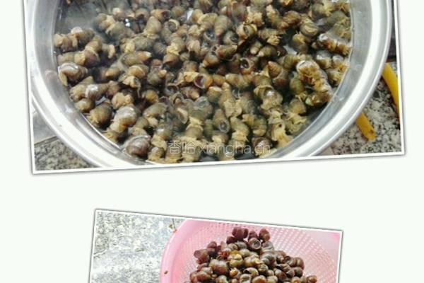 紫苏炒石螺的做法图解1