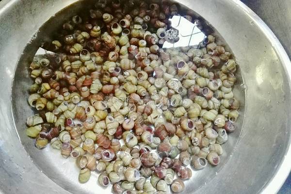 紫苏炒石螺的做法图解3