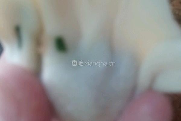 韭菜猪肉饺的做法图解6