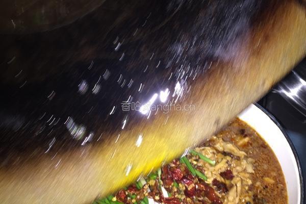 香辣水煮肉片的做法图解9