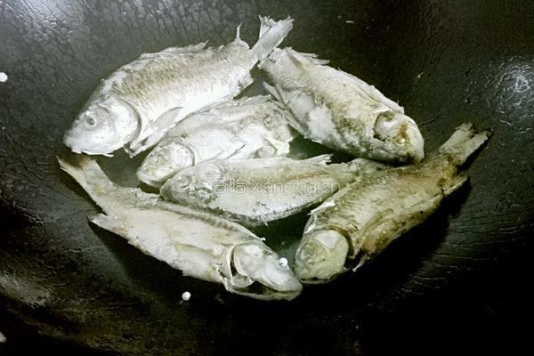 鲫鱼汤的做法图解4