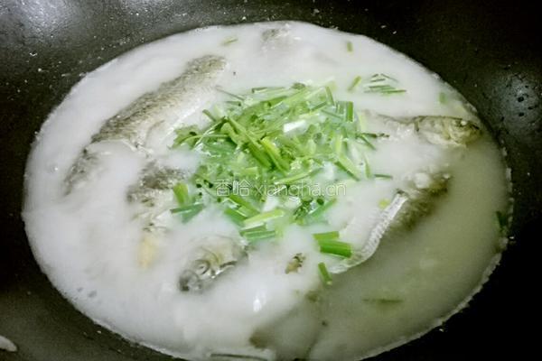 鲫鱼汤的做法图解6