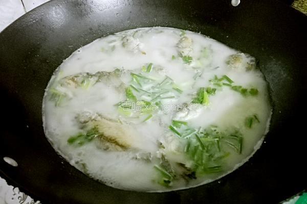 鲫鱼汤的做法图解7
