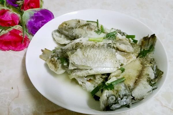 鲫鱼汤的做法图解8