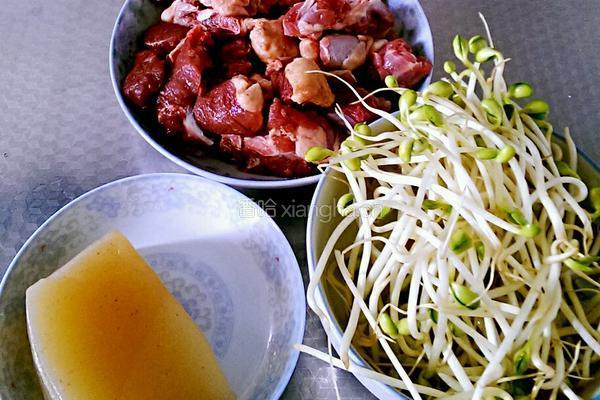 干锅啤酒鸭的做法图解1