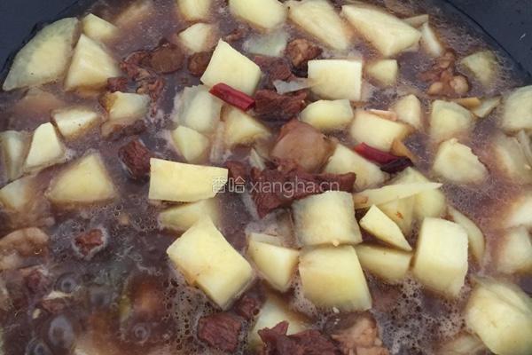 牛肉炖土豆的做法图解4