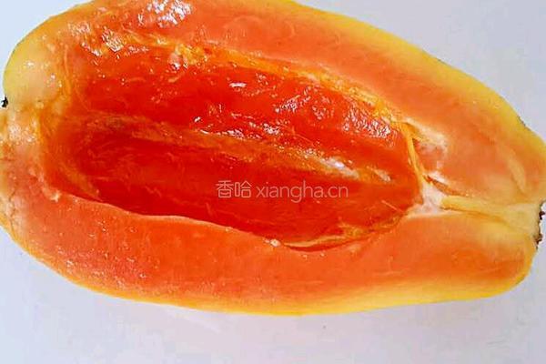 木瓜炖奶的做法图解2