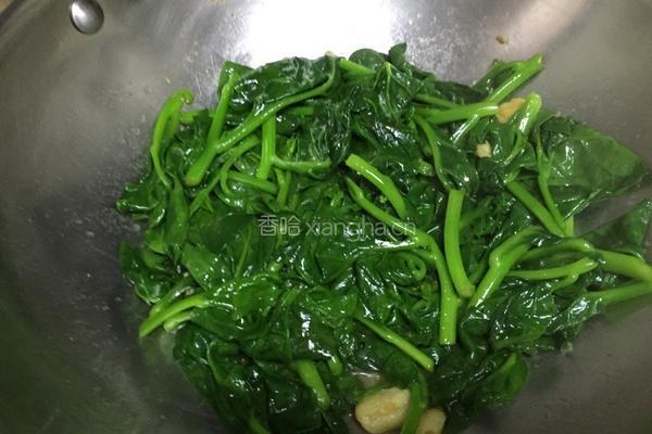 蒜香蚕菜的做法图解7