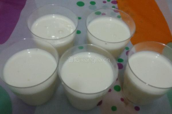 自制酸奶的做法图解6