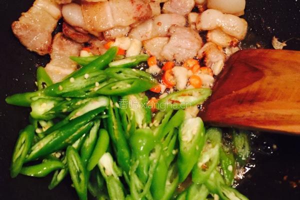 青椒小炒肉的做法图解7
