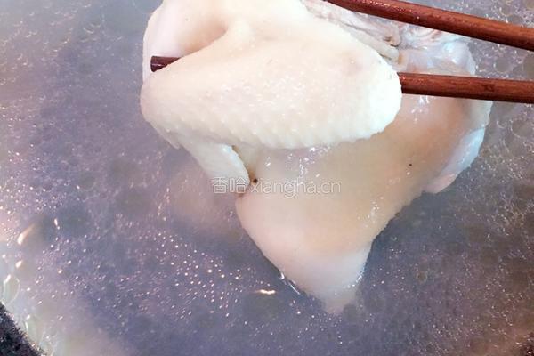 白切鸡的做法图解3