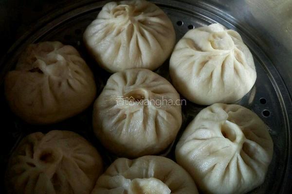 豇豆猪肉包的做法图解15