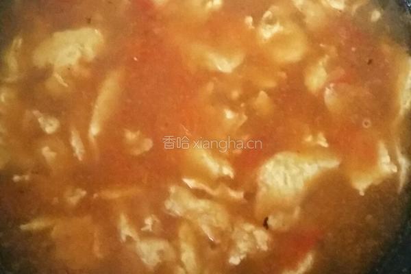 蕃茄鸡蛋汤的做法图解7