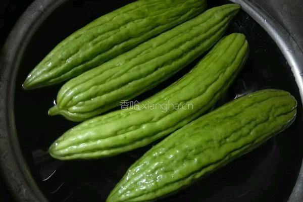 自家酿苦瓜的做法图解1