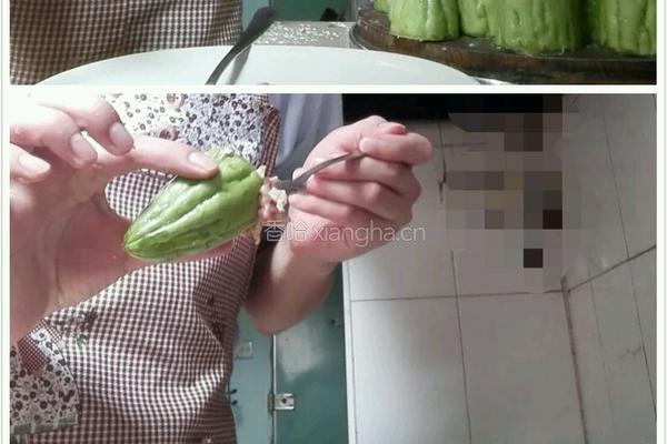 自家酿苦瓜的做法图解4