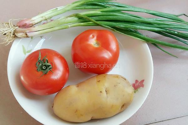 西红杮烧土豆的做法图解1
