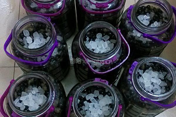 野生葡萄酒的做法图解4
