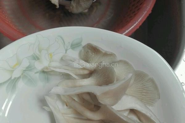缤纷平菇的做法图解5