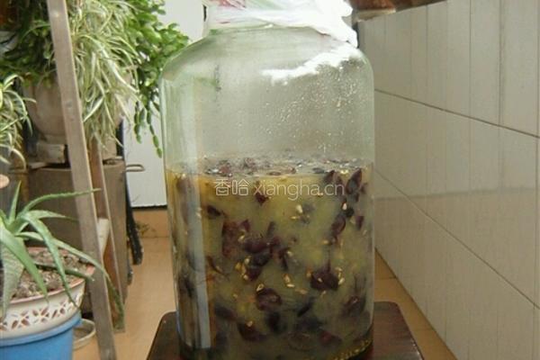 葡萄酒的做法图解6