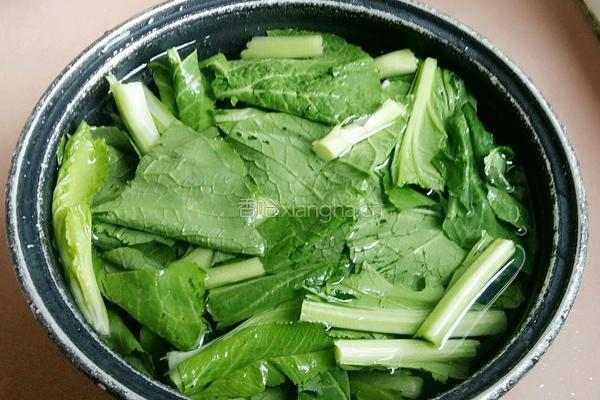 芥菜筒骨汤的做法图解3