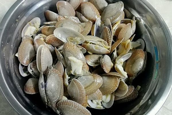 炒花甲的做法图解4