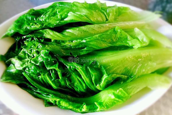 蚝油蒜蓉生菜的做法图解3