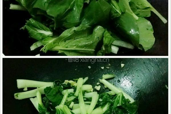 蒜蓉小白菜的做法图解9