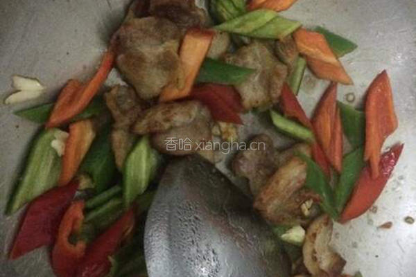 农家小炒肉的做法图解4
