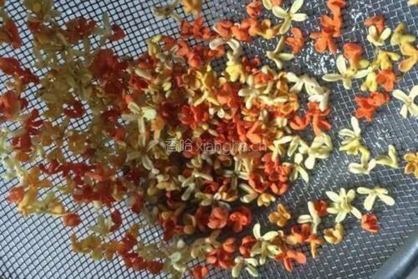 西米桂花羹的做法图解2