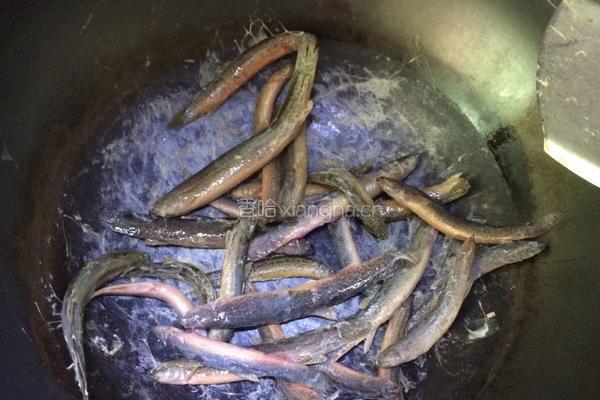 泥鳅焖豆腐的做法图解5