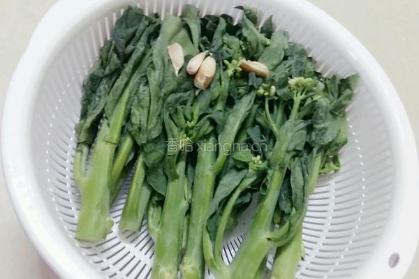 蒜蓉芥蓝的做法图解1