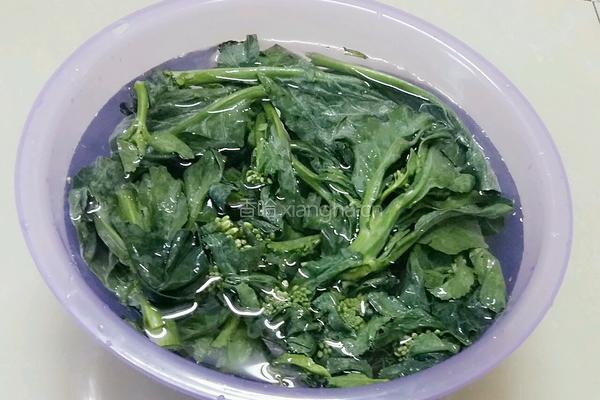 蒜蓉芥蓝的做法图解3
