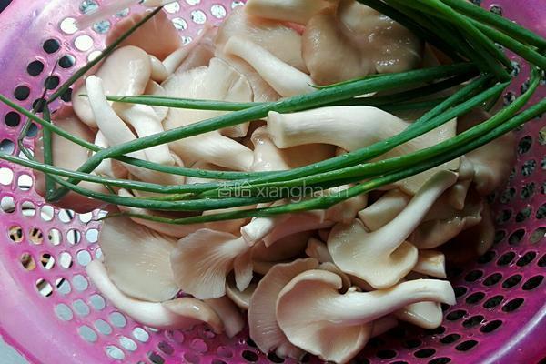 袖珍菇白豆腐汤的做法图解1