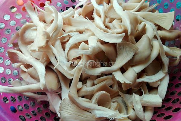 袖珍菇白豆腐汤的做法图解4