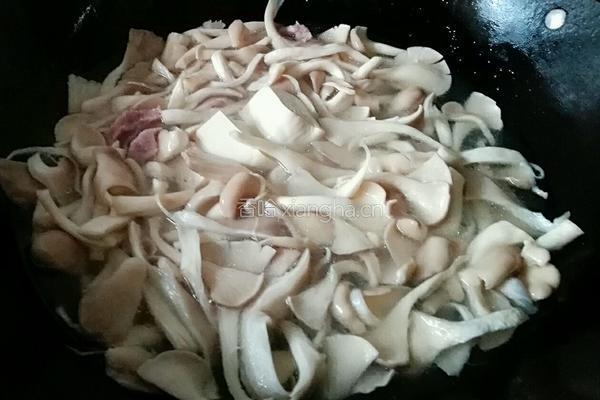 袖珍菇白豆腐汤的做法图解6