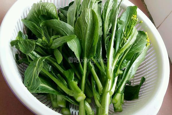 蒜蓉菜心肉片的做法图解4