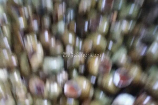 酱香螺蛳的做法图解2