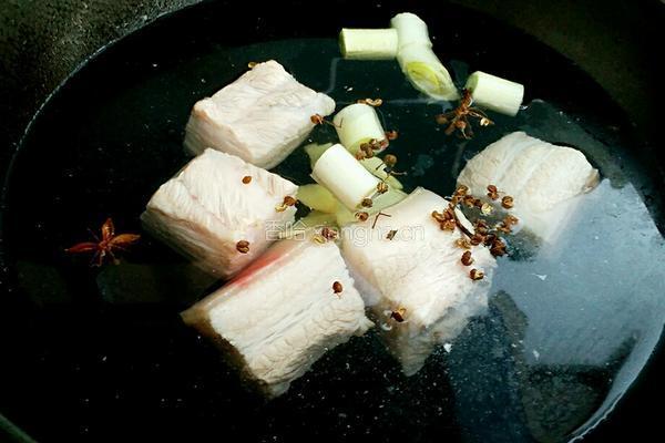 酸菜猪肉炖粉条的做法图解4